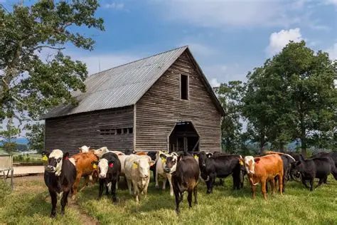 Farm Protection