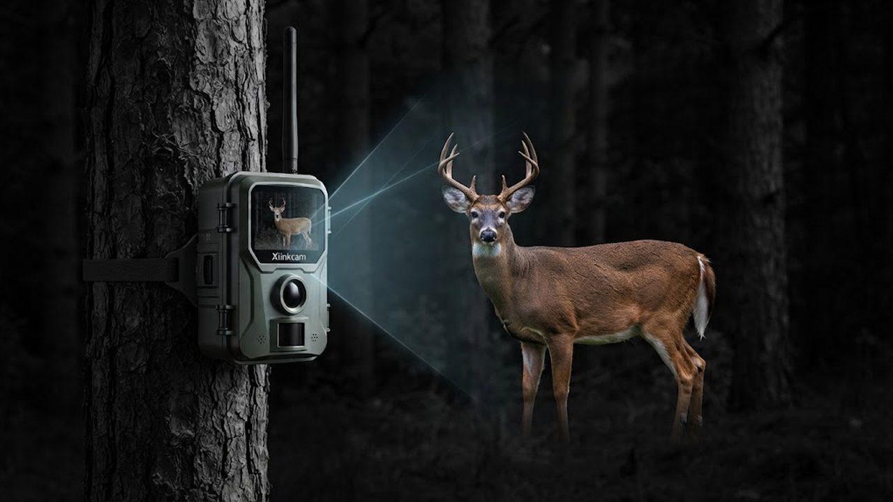 Full-Color Trail Camera Manufacturer